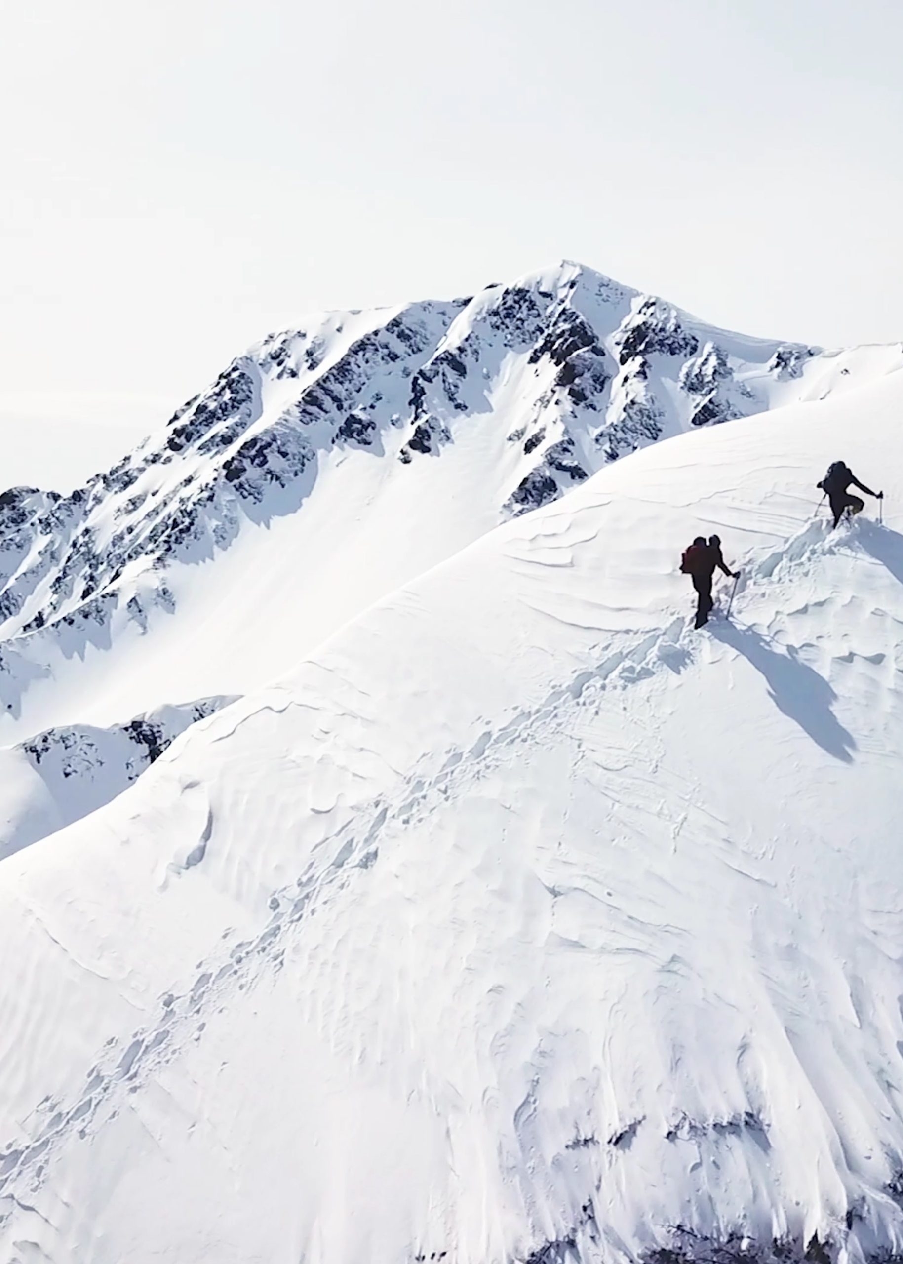 The Alpine Source of Life